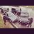 MrAndrey